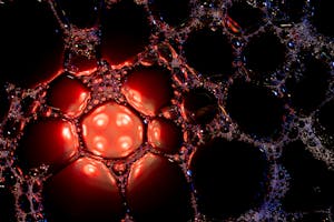 Close-up of soapy bubbles with red and black highlights, showcasing a dramatic abstract texture.